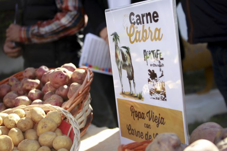 El Mercadillo de Teguise ofrecerá este domingo degustaciones de carne de cabra