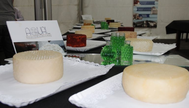 Uga acoge el III Concurso INsular de Quesos Artesanales