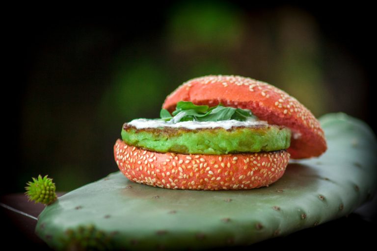Hamburguesa de cactus