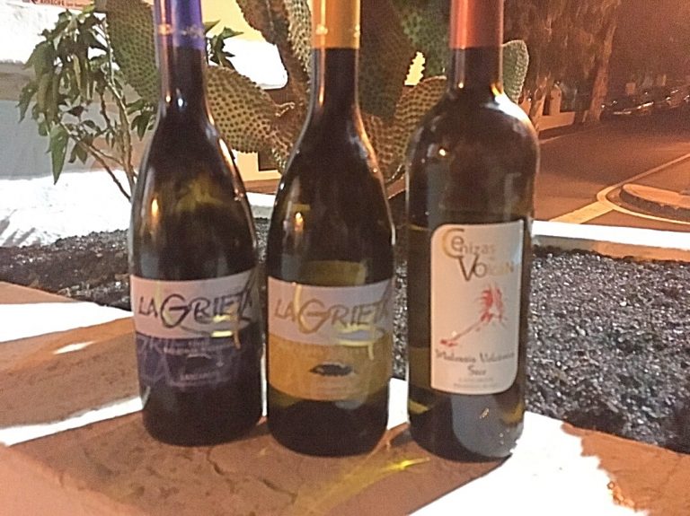 Vinos de la Bodega Malpaís de Máguez