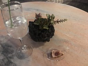 Tataki de atún y gin-tonic Ave del Paraíso