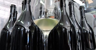 Espumoso de Vega de Yuco