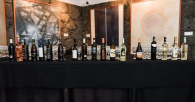 Vinos de Lanzarote