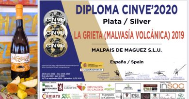 cinve 2020