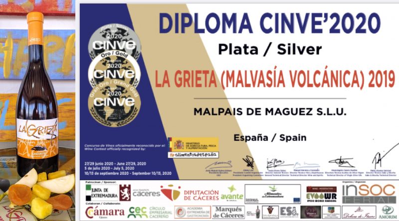 cinve 2020