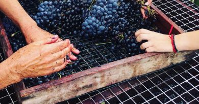 Bodega La Mareta