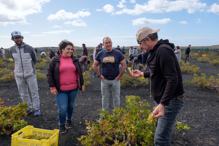 Bodegas El Grifo vendimia en abril