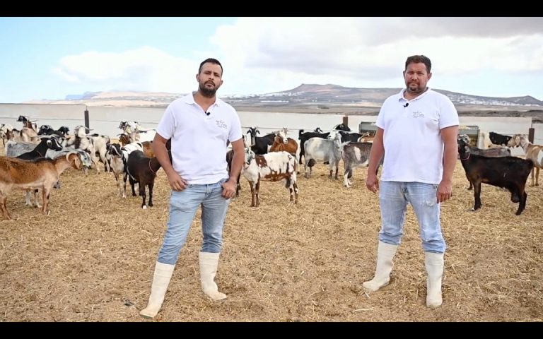 Hermanos Viña, de El Faro