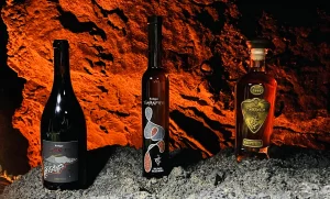 Comerenlanzarote.com Referencias de Bodegas Timanfaya premiadas
