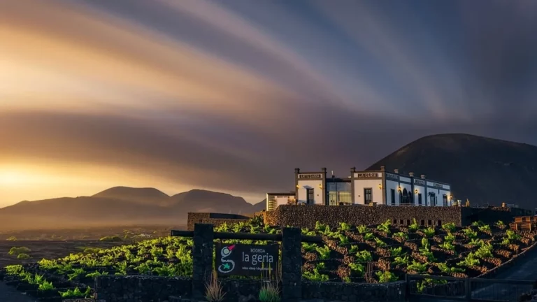 Comerenlanzarote.com Bodega La Geria