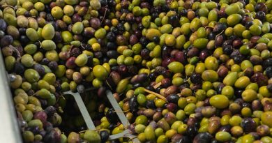 comerenlanzarote.com Aceitunas en Lanzarote