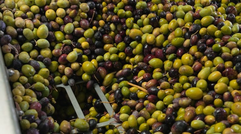 comerenlanzarote.com Aceitunas en Lanzarote